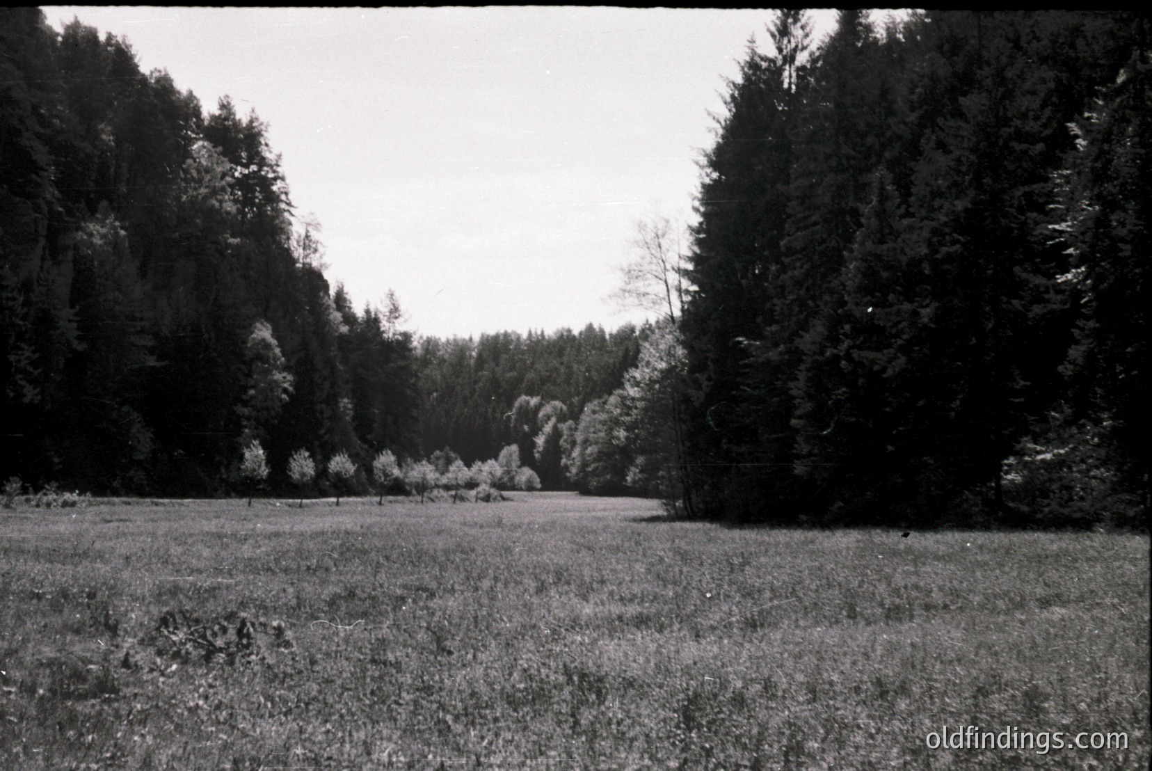 Vintage photograph