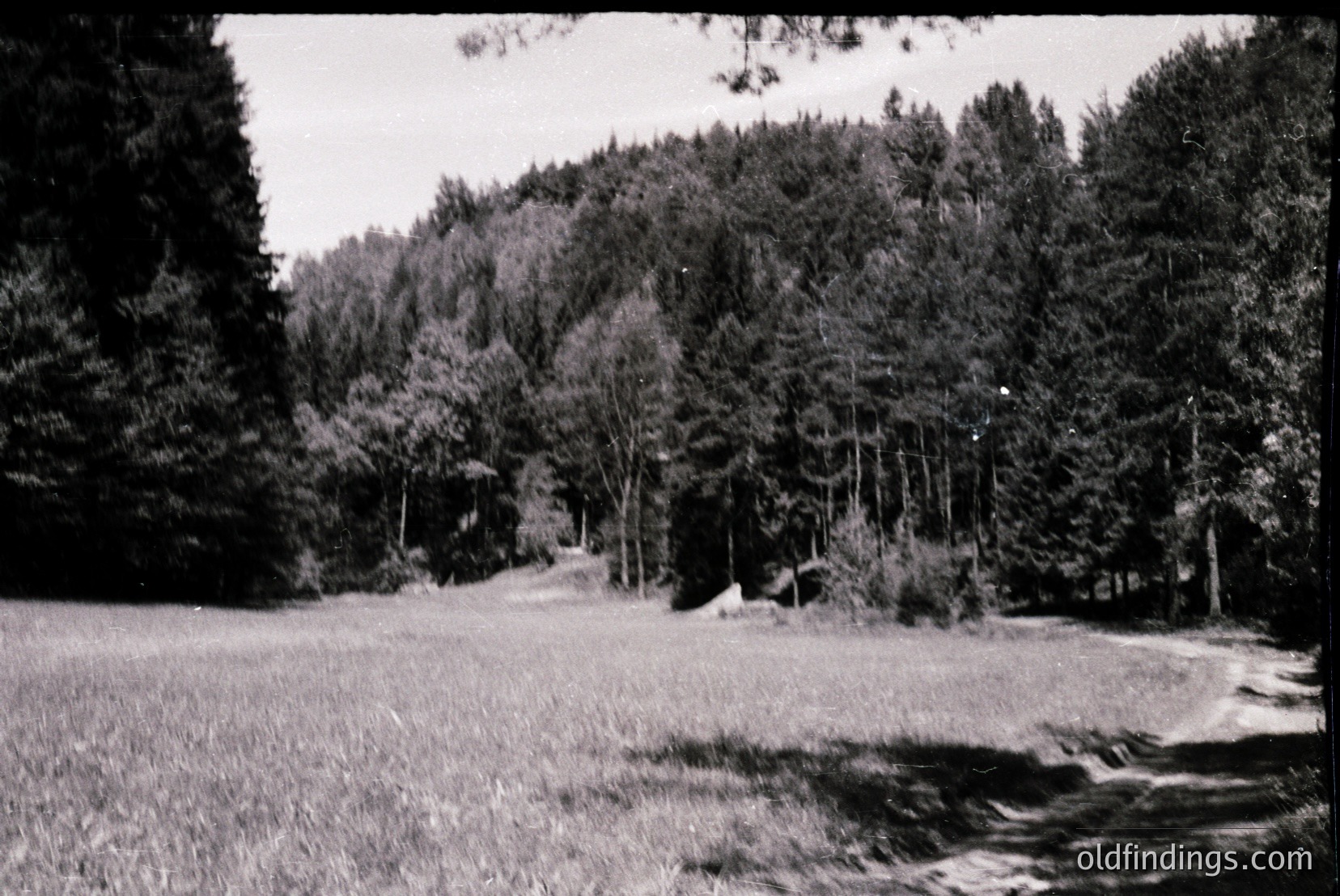 Vintage photograph