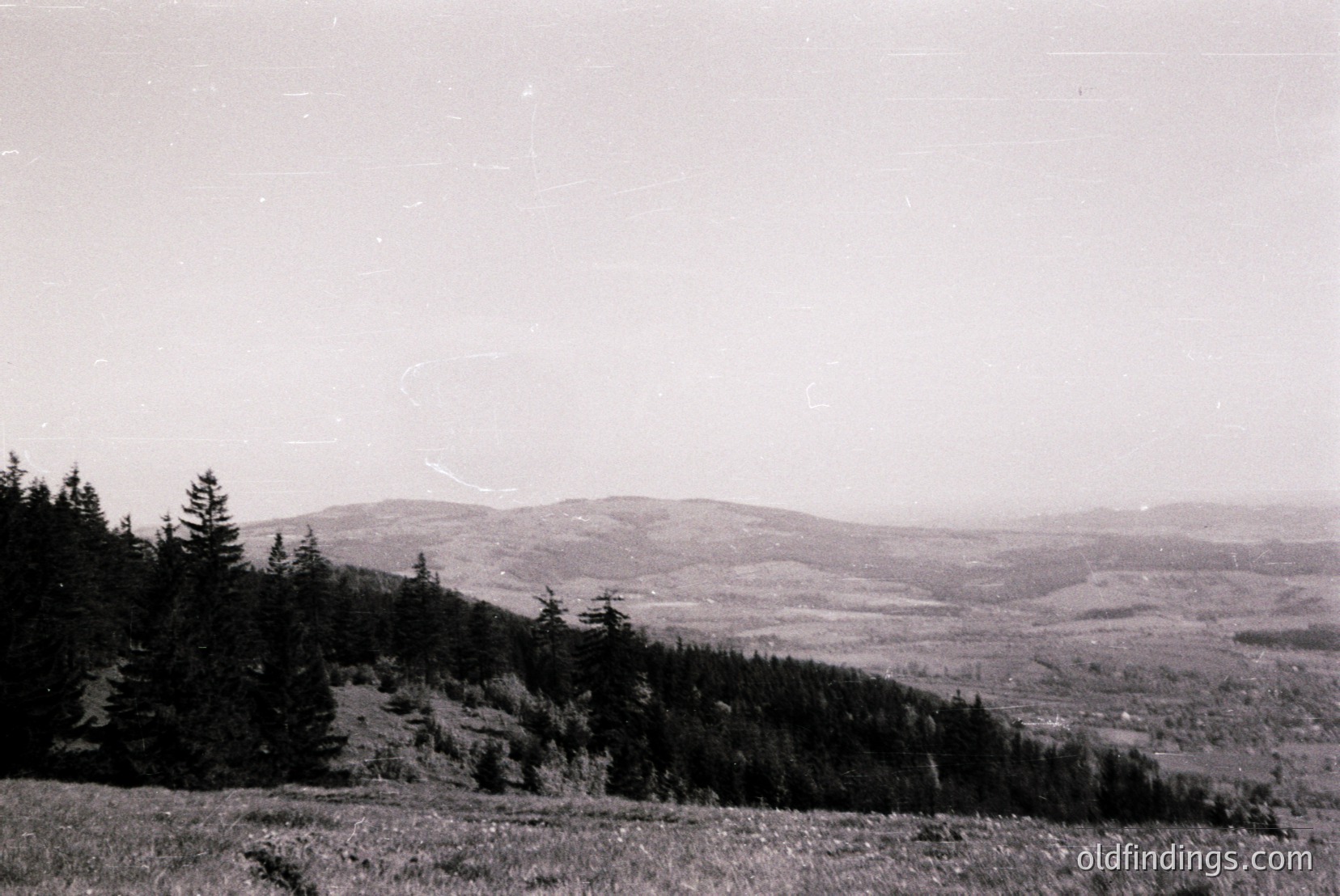 Vintage photograph