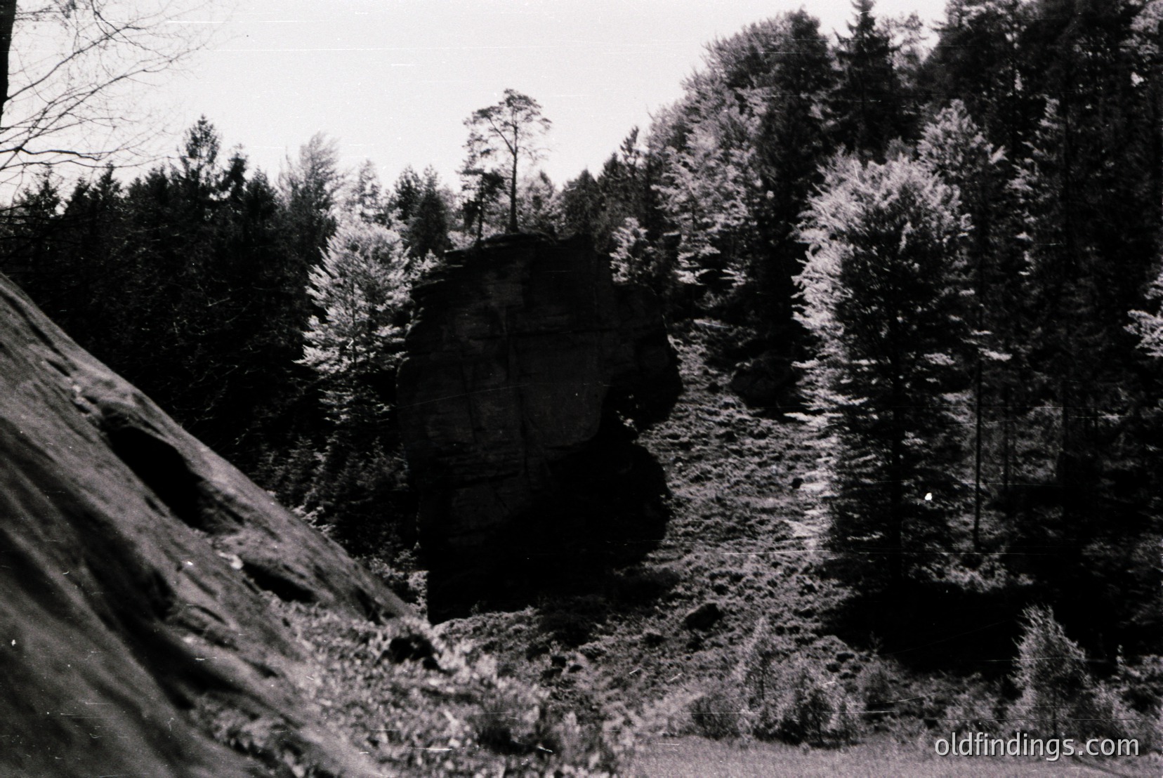 Vintage photograph