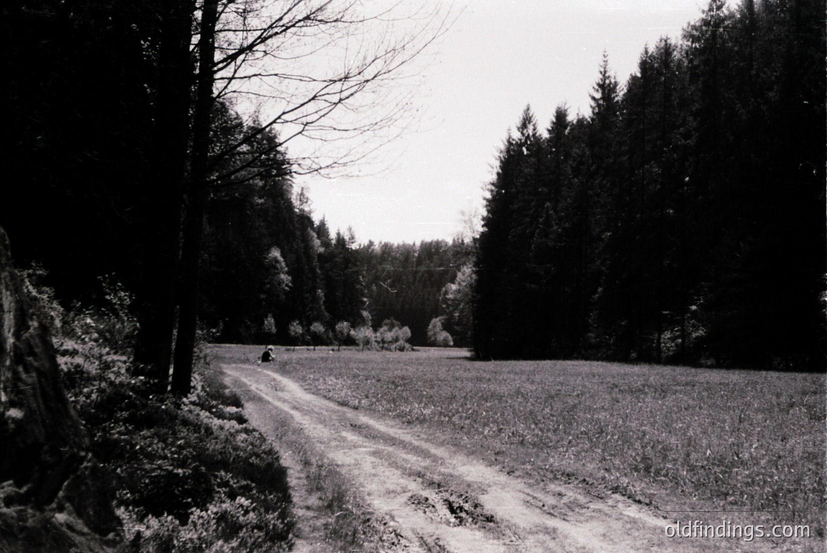 Vintage photograph