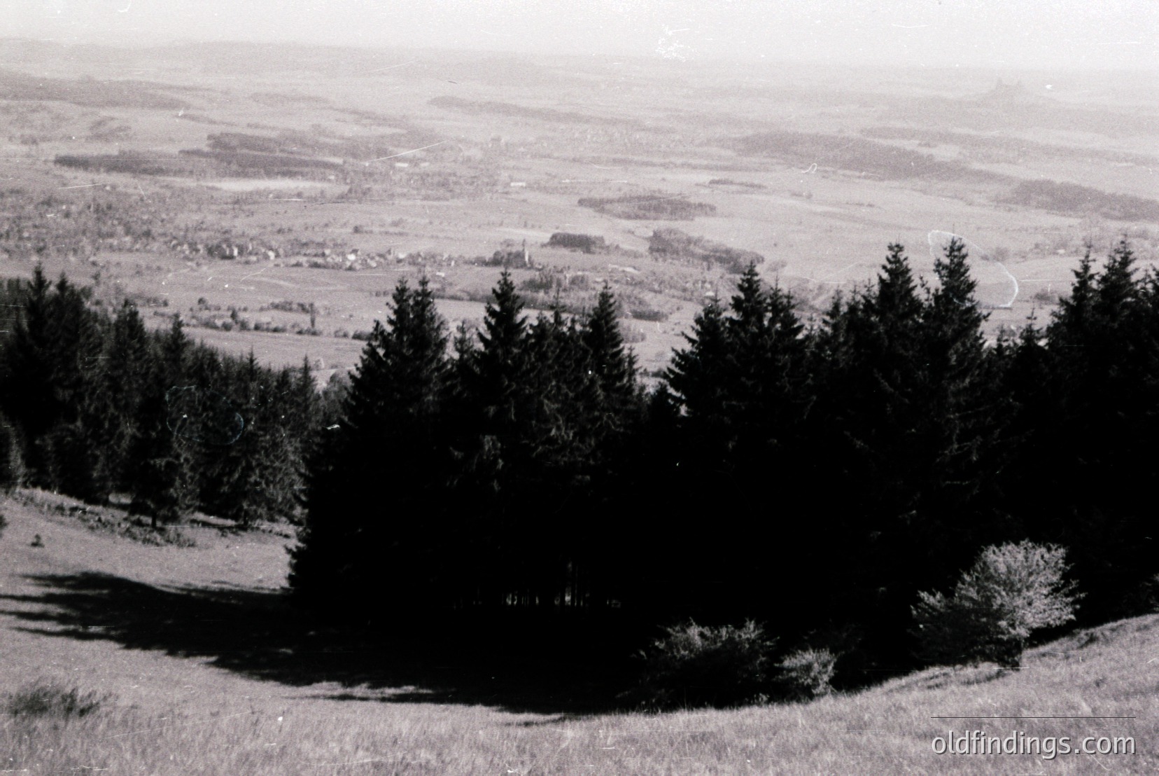 Vintage photograph