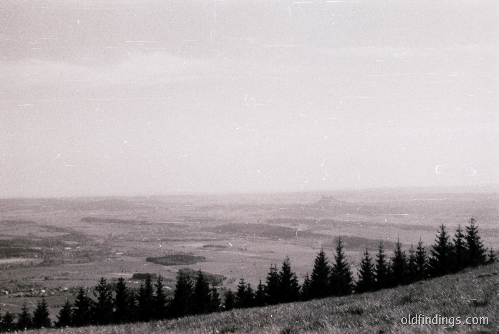 Vintage photograph