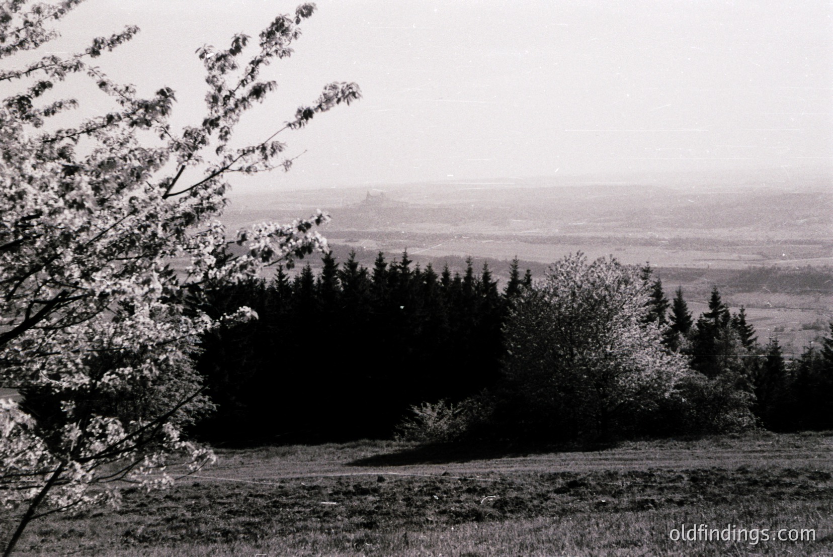 Vintage photograph