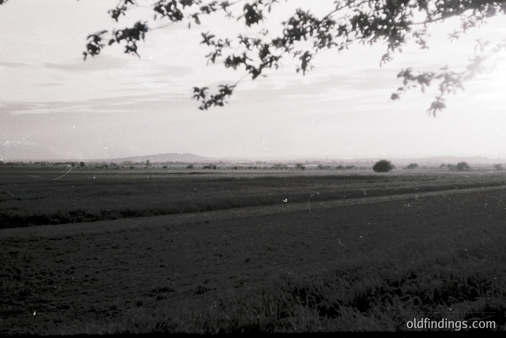 Vintage photograph