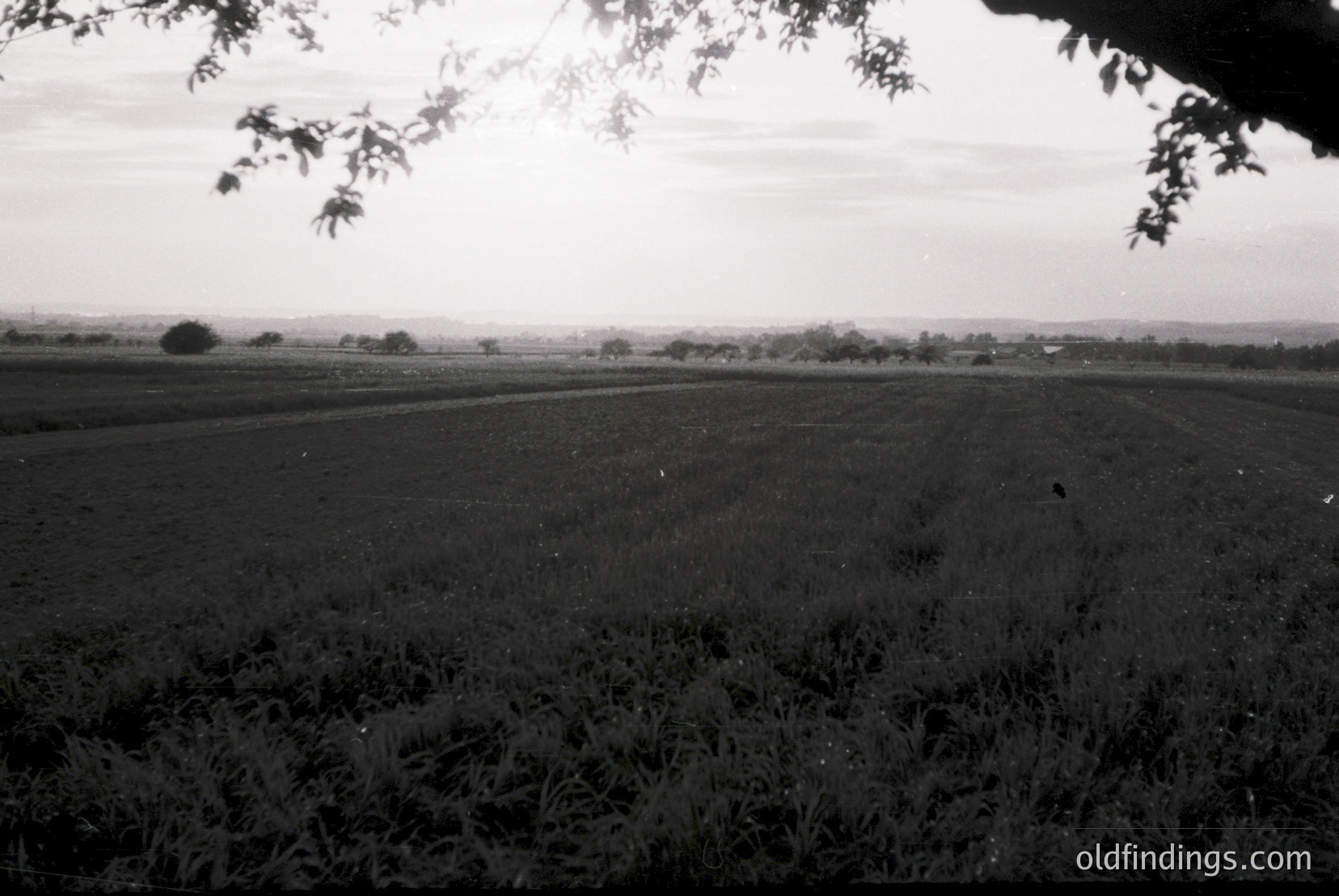 Vintage photograph
