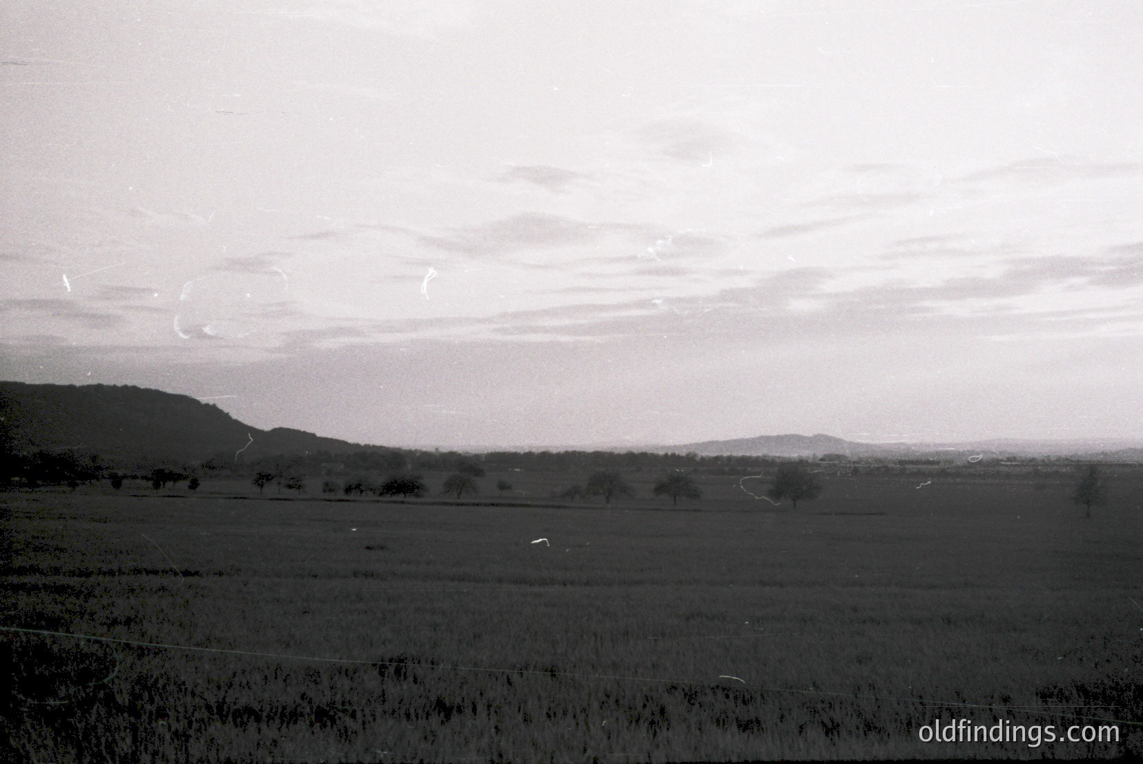 Vintage photograph