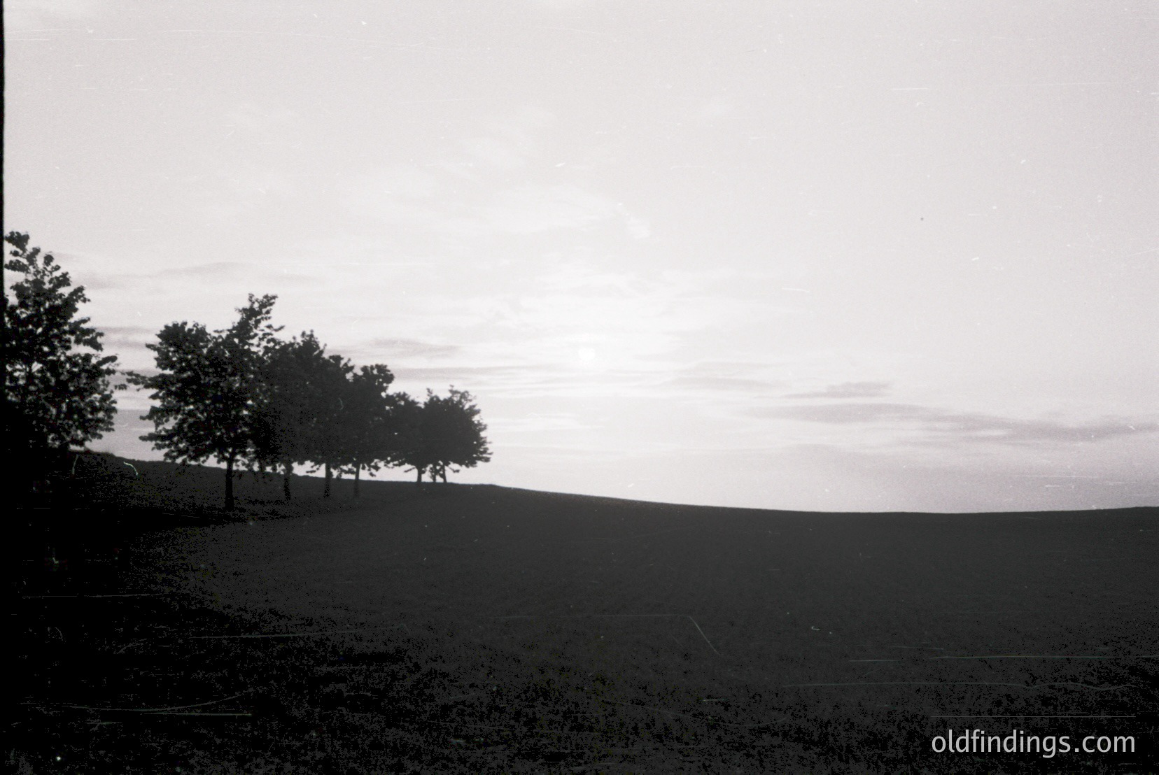 Vintage photograph