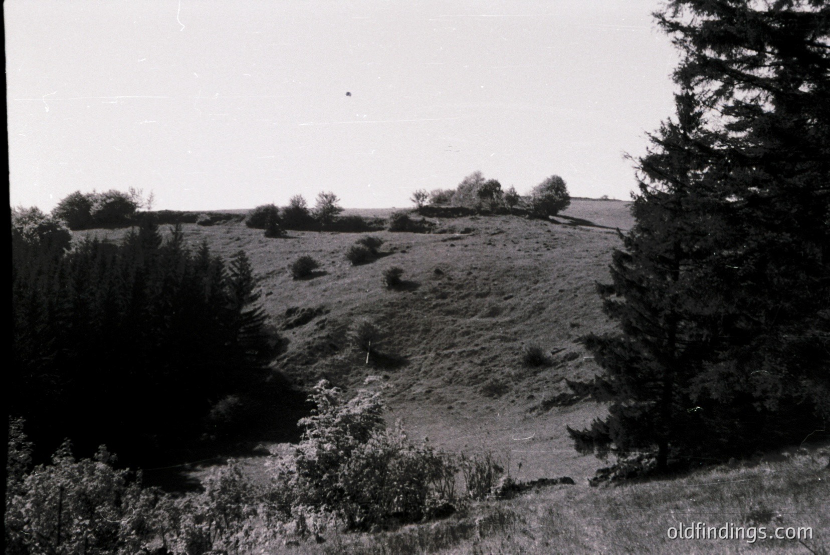 Vintage photograph