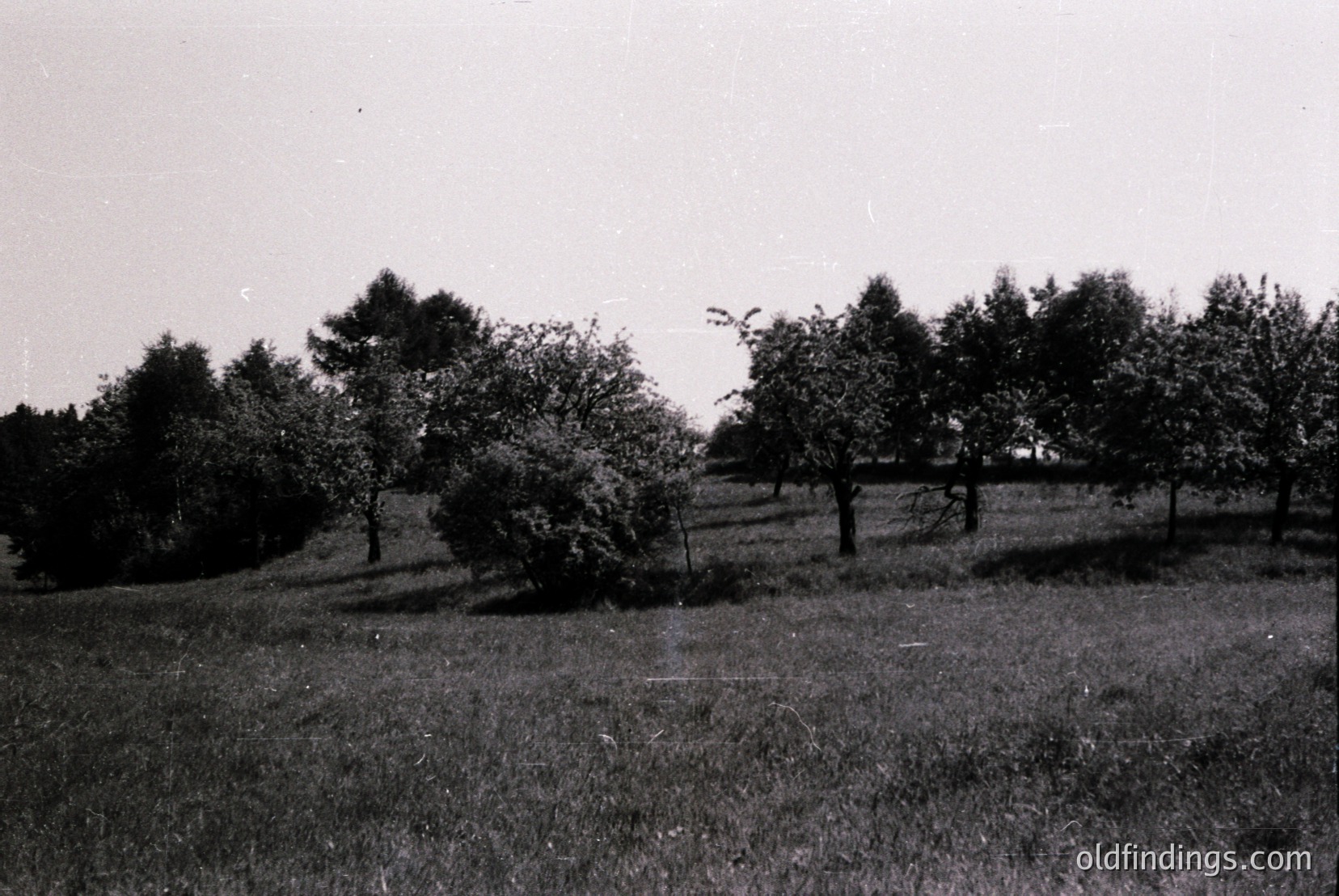 Vintage photograph