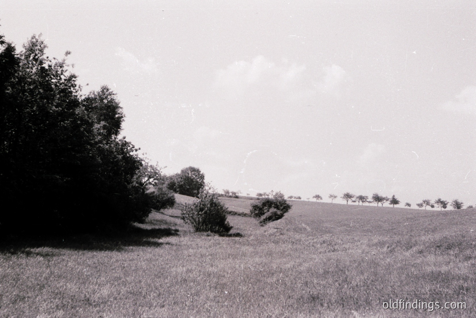 Vintage photograph