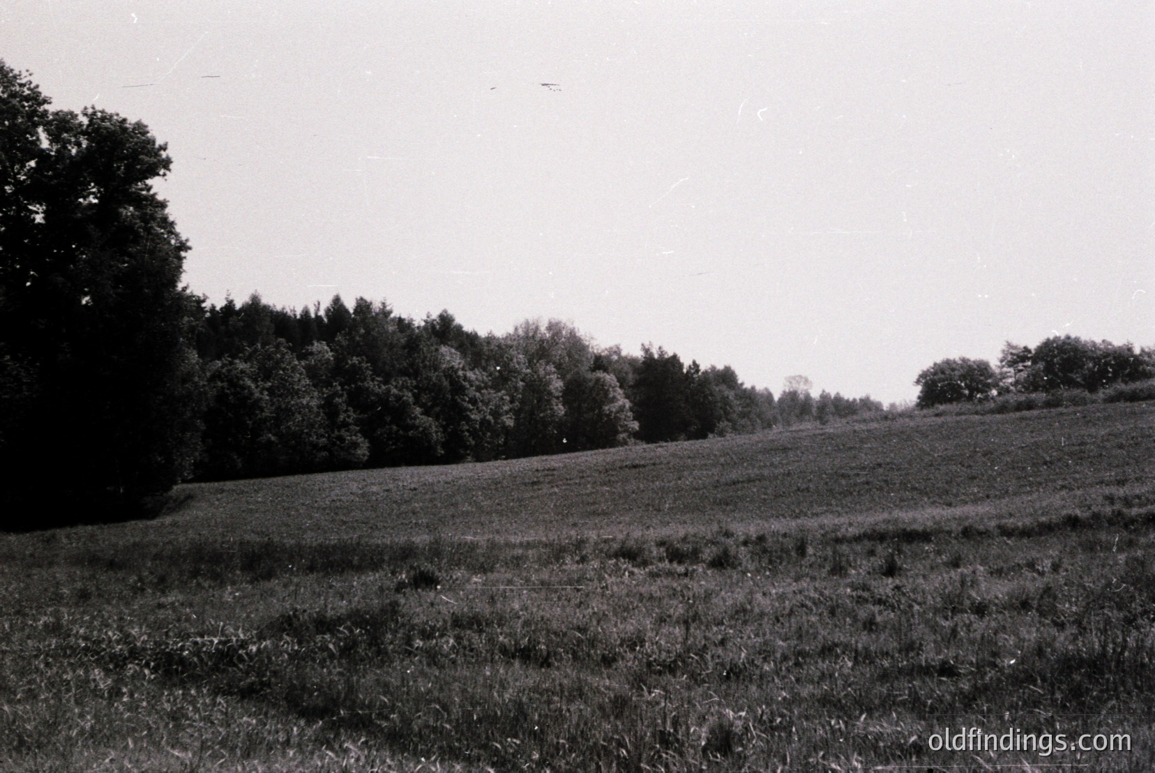 Vintage photograph