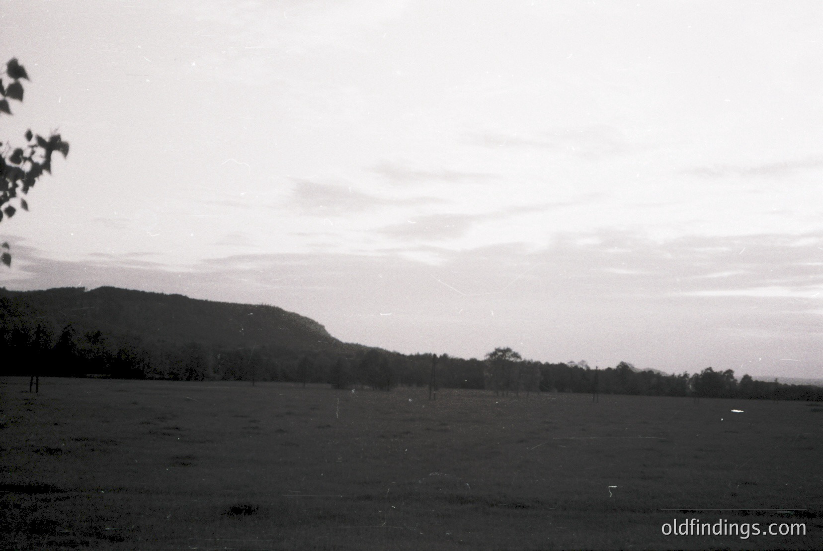 Vintage photograph