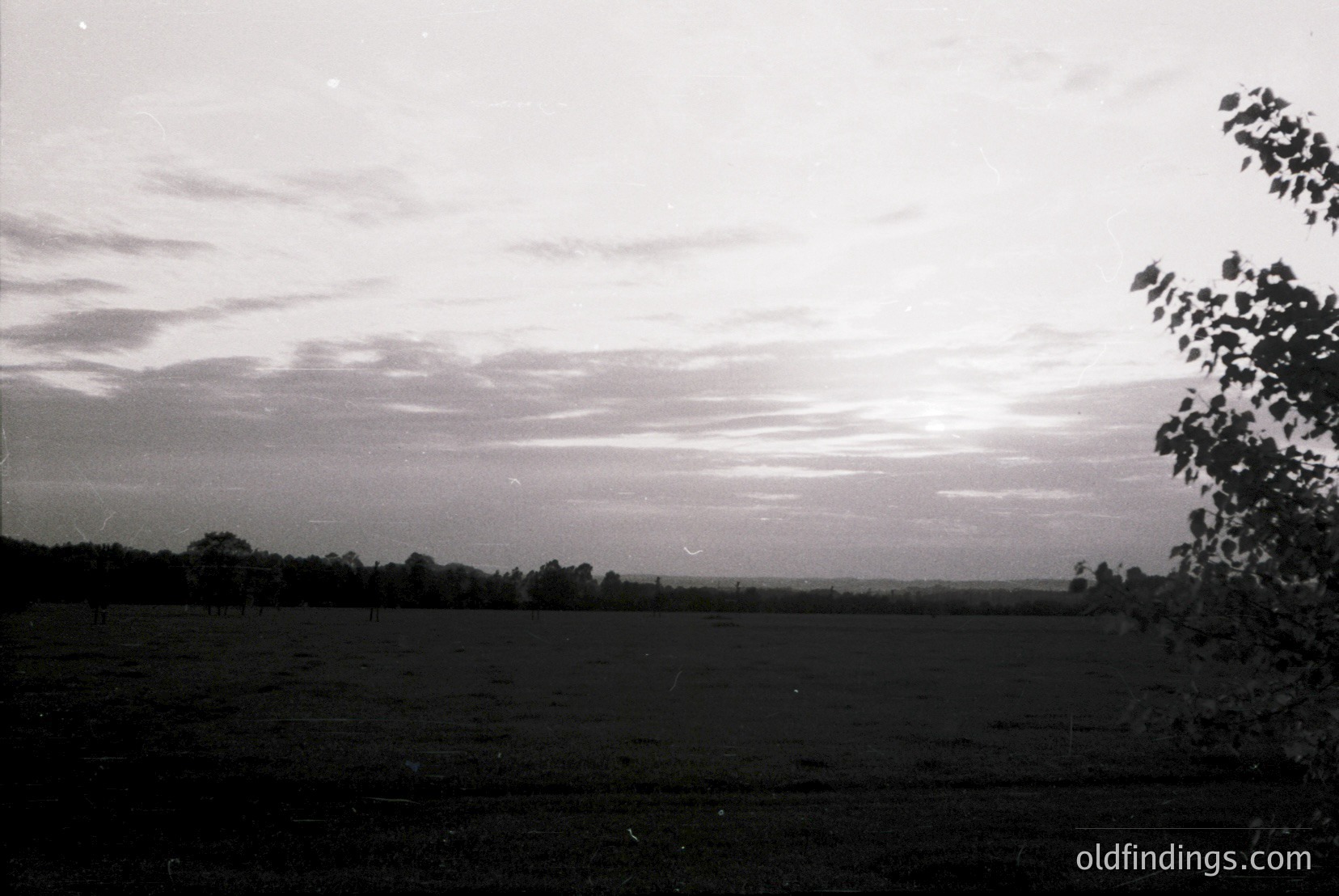 Vintage photograph