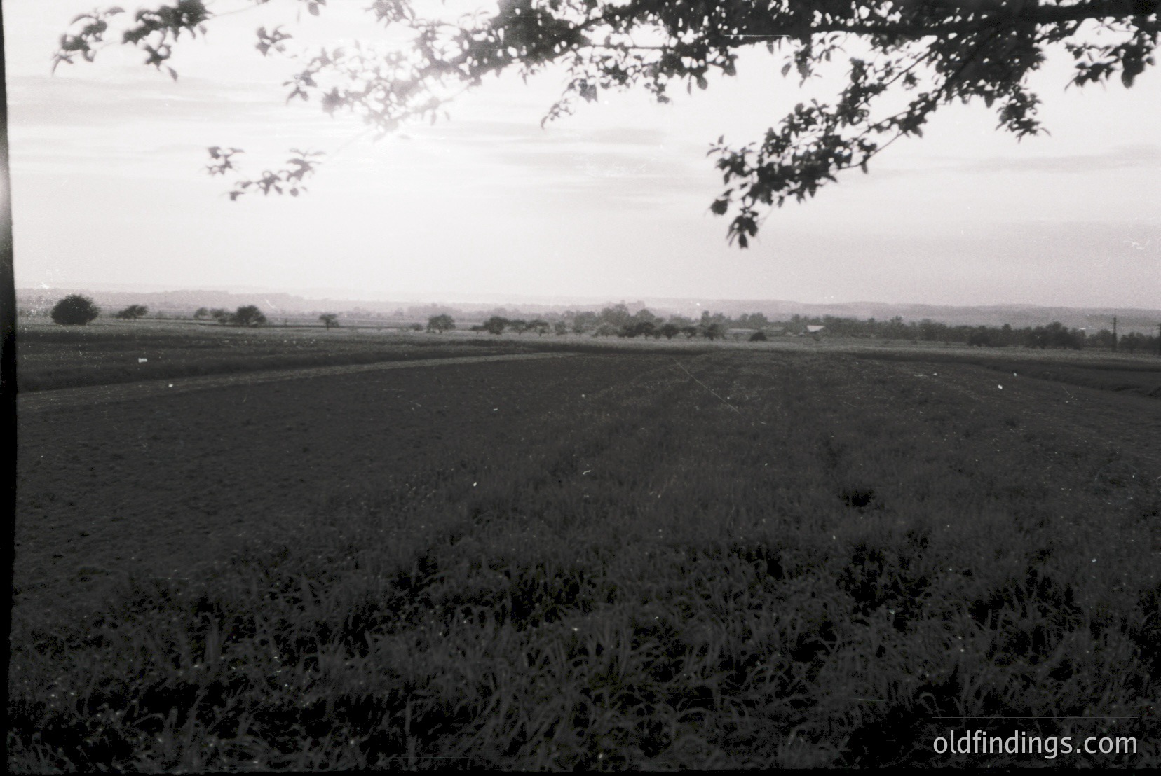 Vintage photograph