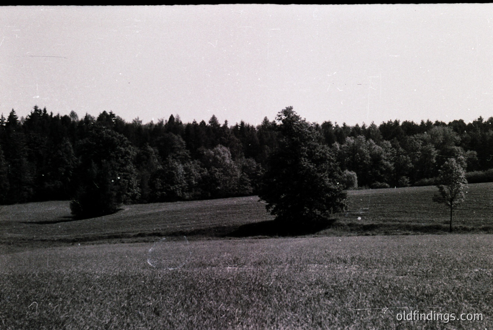 Vintage photograph