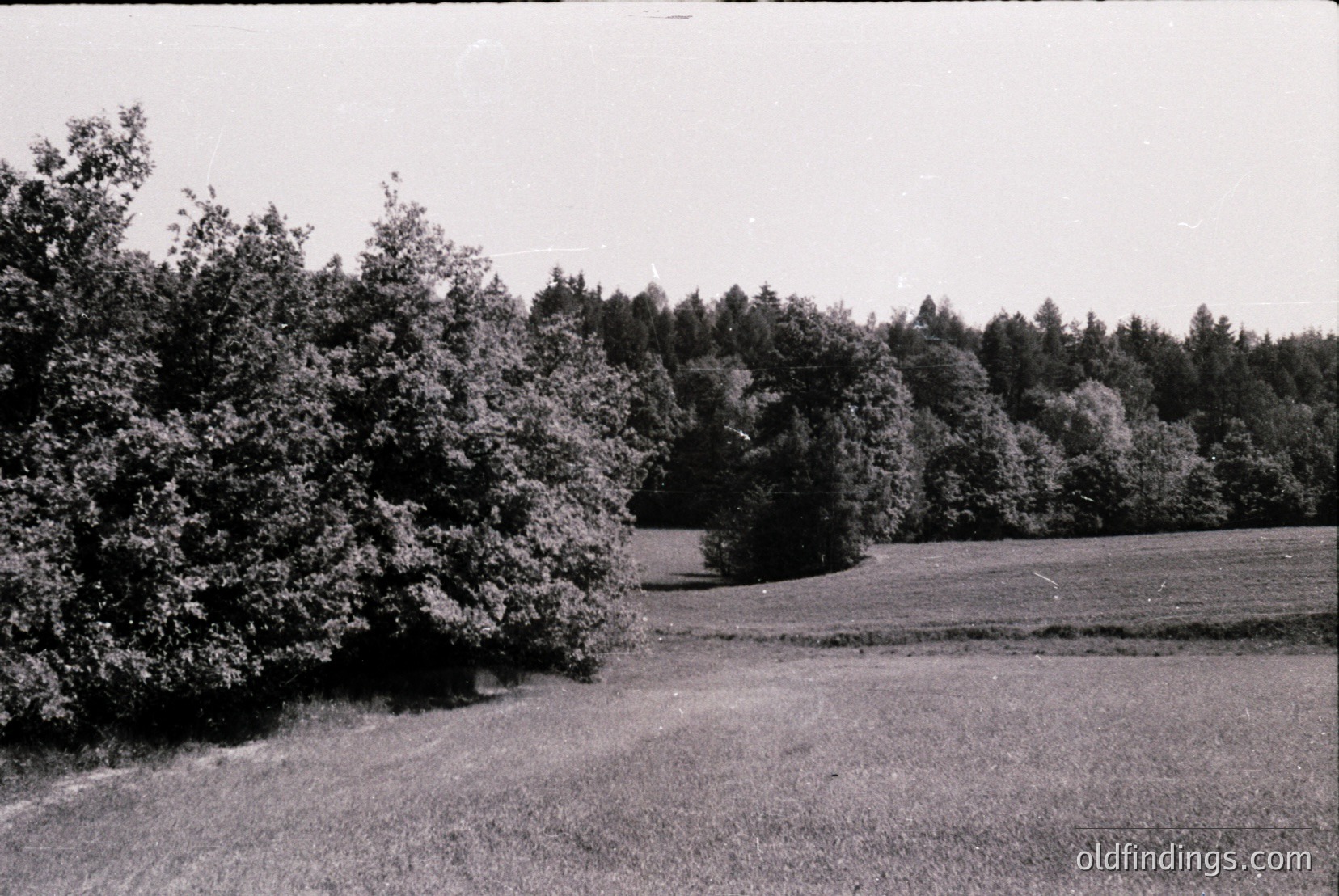 Vintage photograph