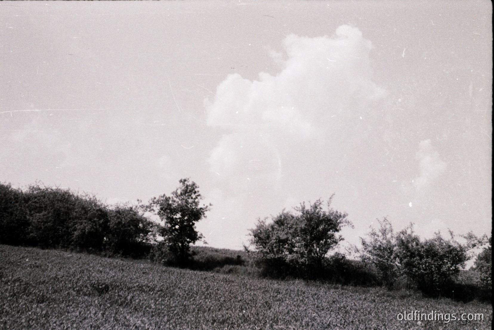 Vintage photograph