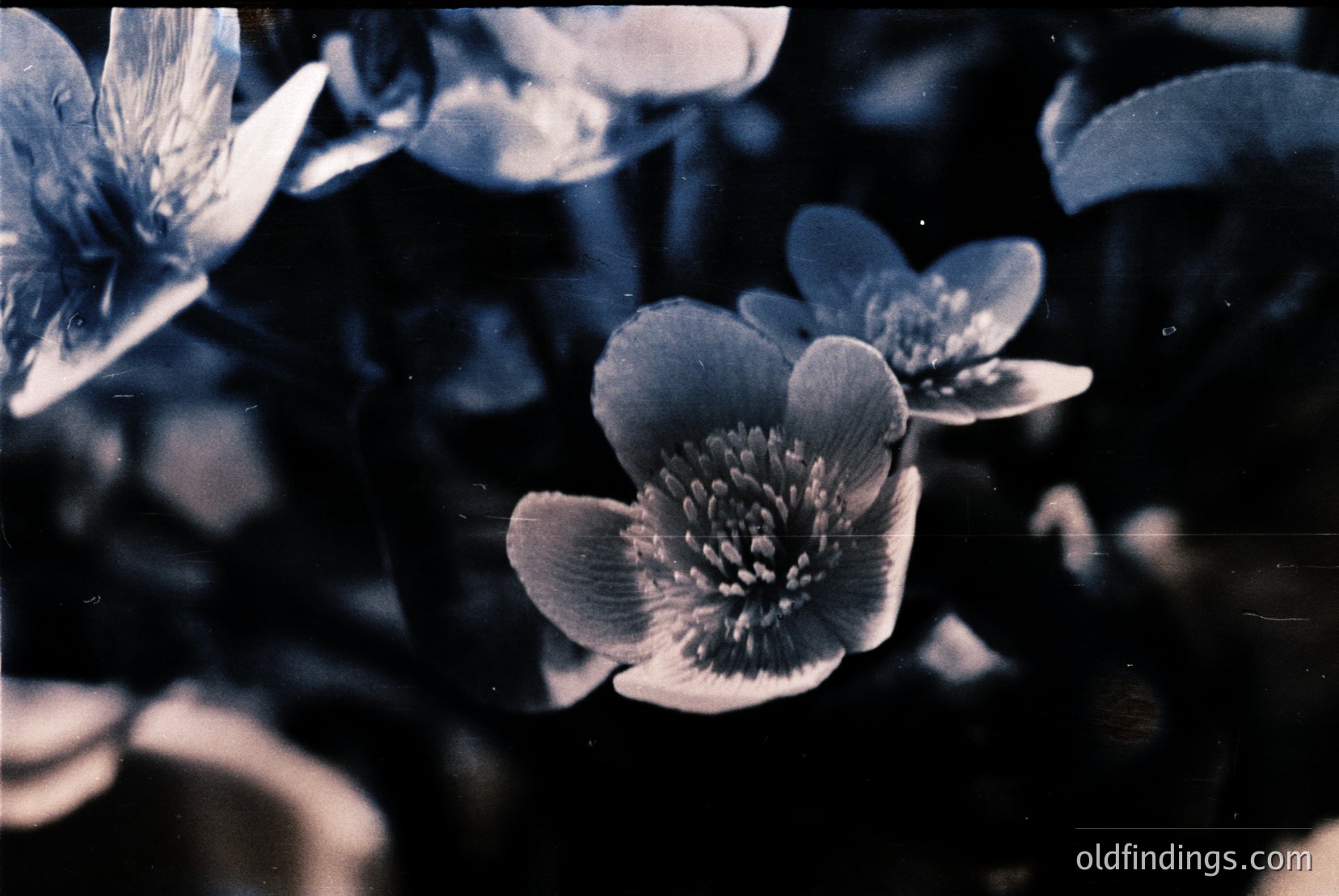 Vintage photograph