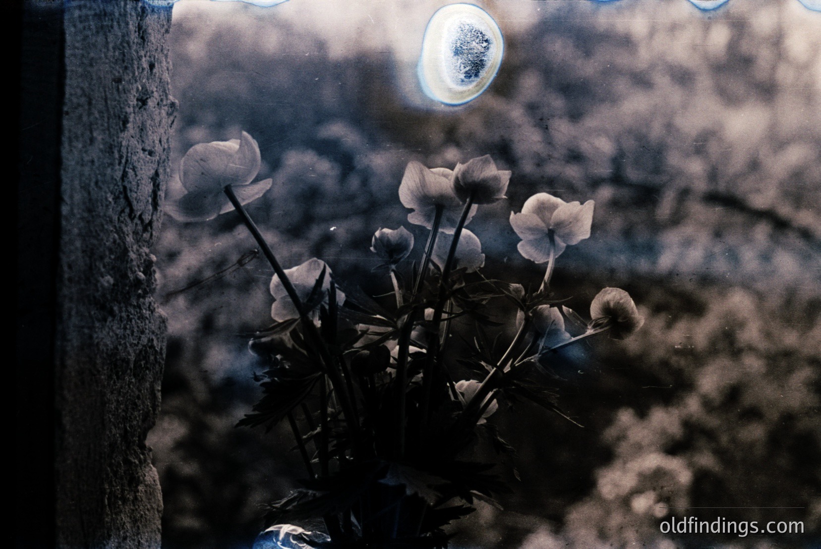 Vintage photograph