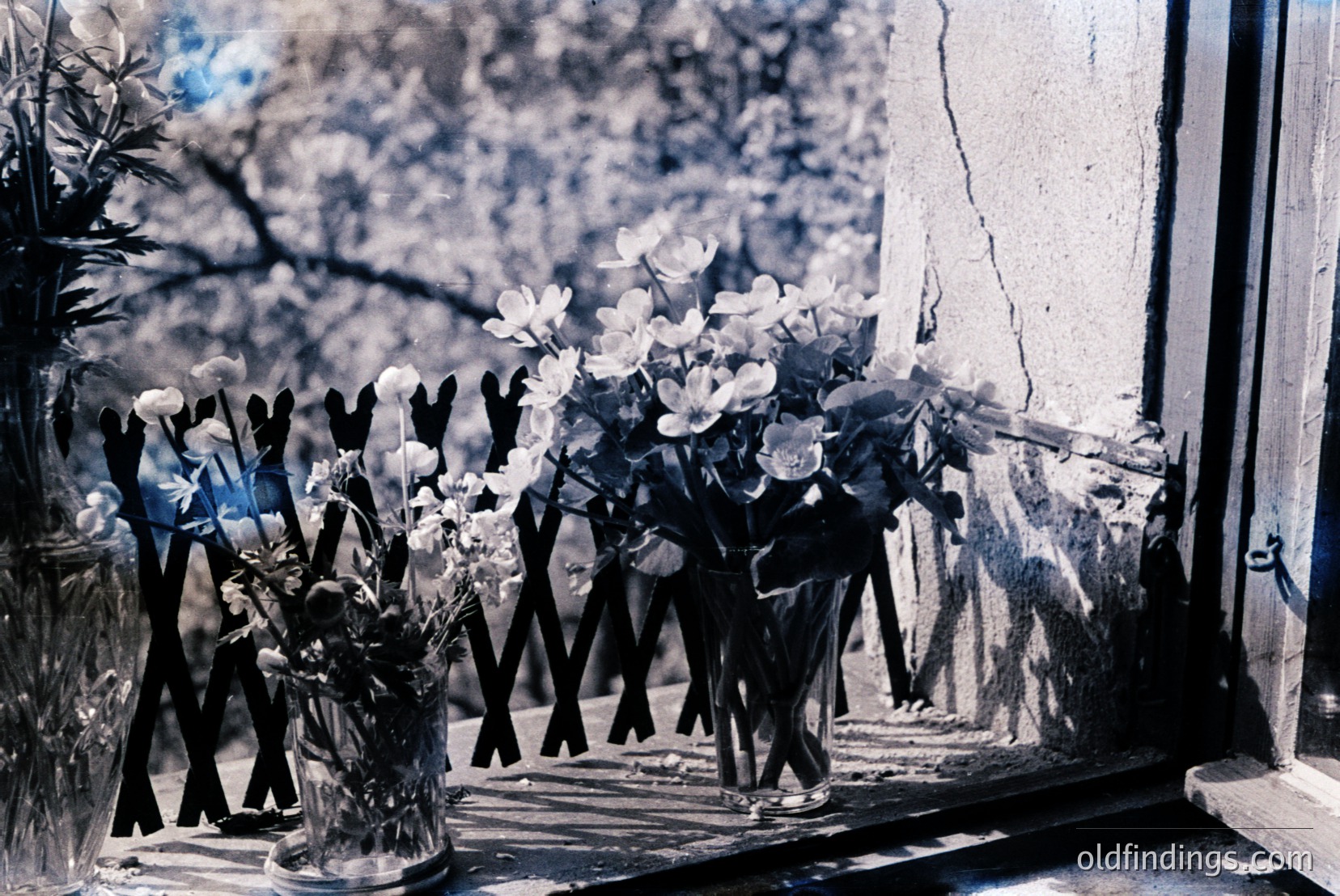 Vintage photograph