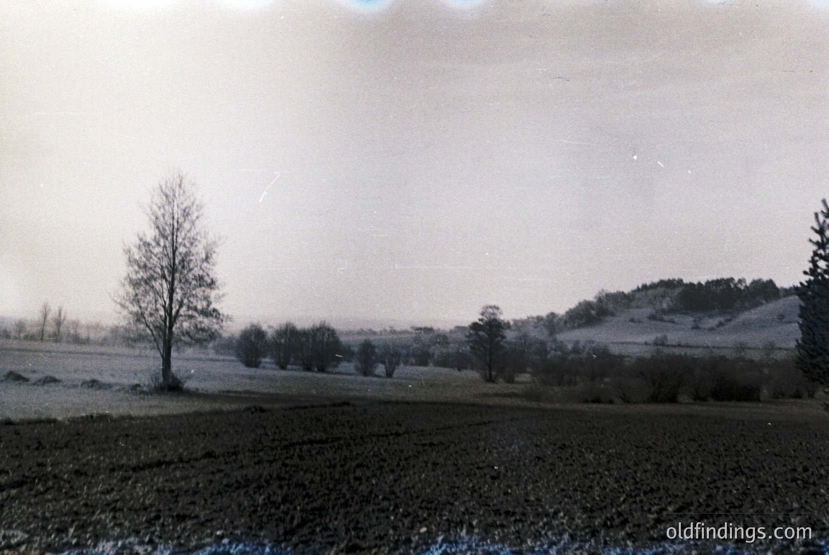 Vintage photograph