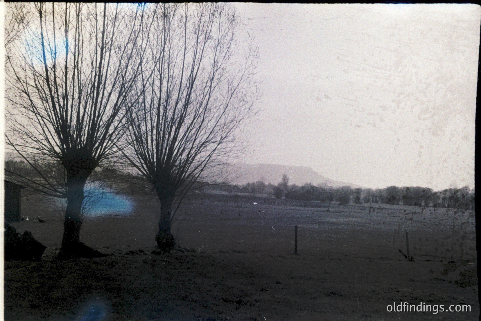 Vintage photograph