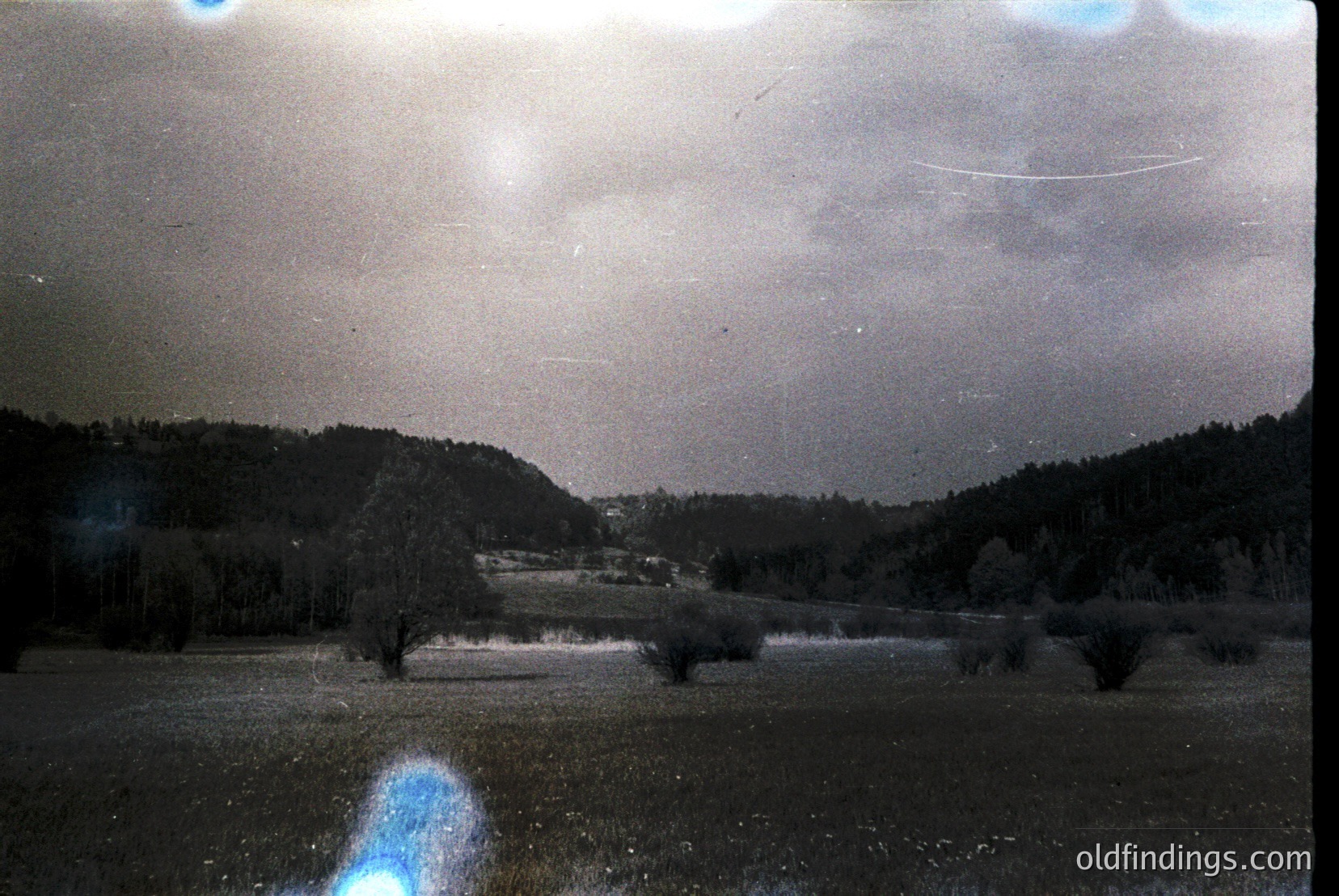 Vintage photograph