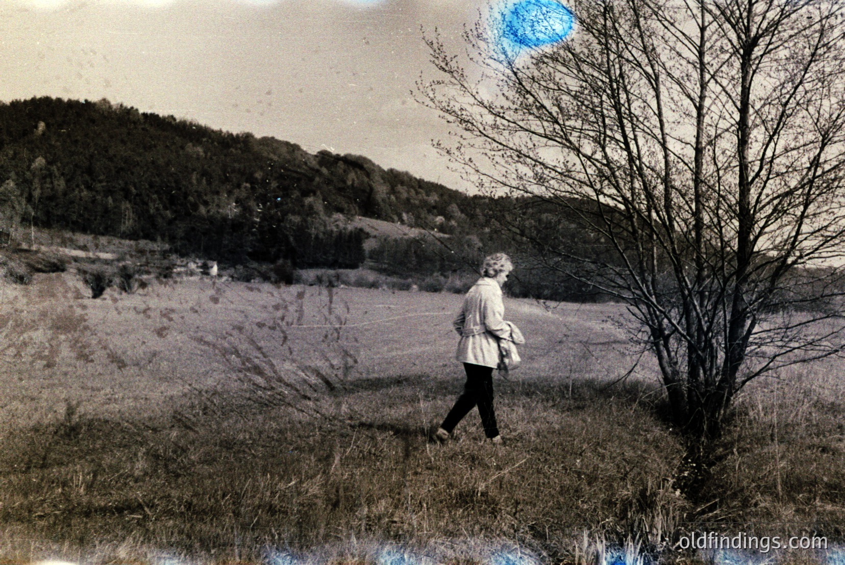 Vintage photograph