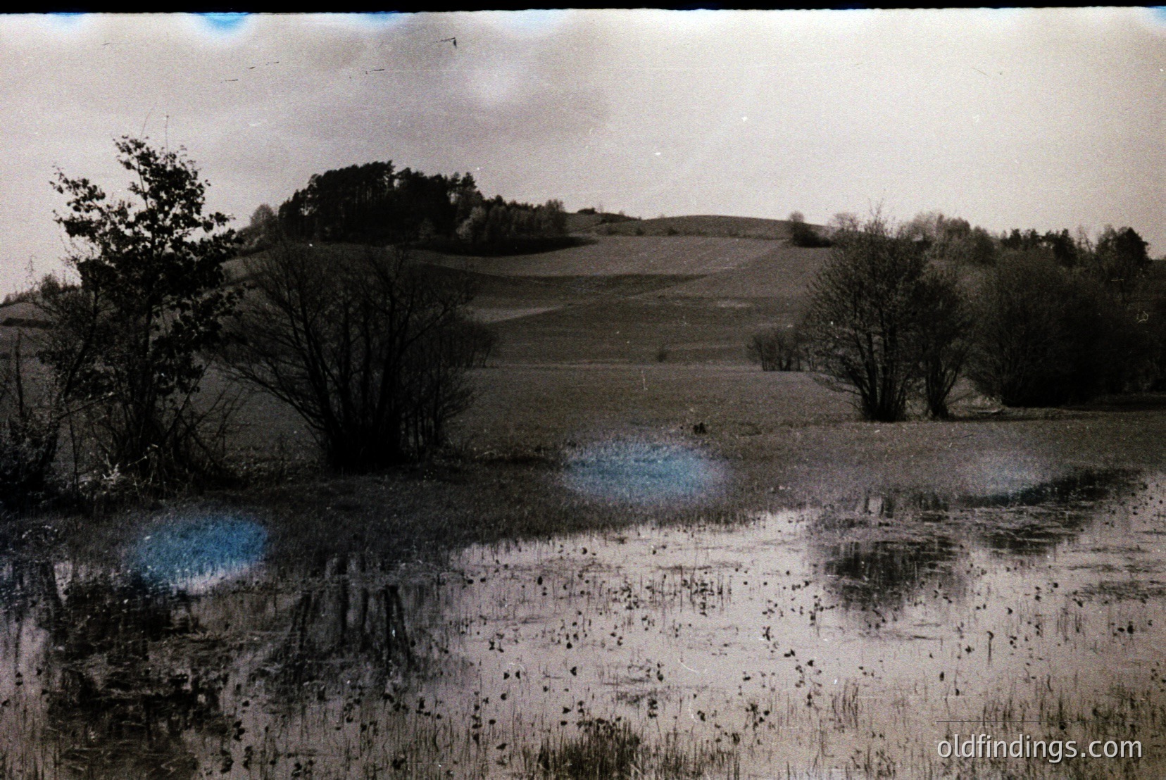 Vintage photograph