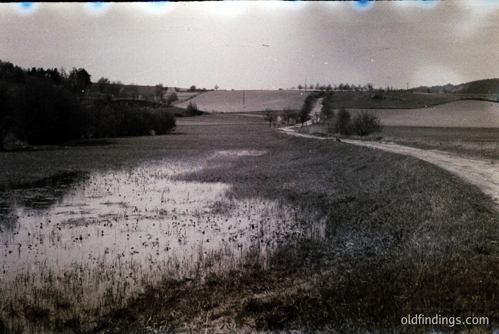 Vintage photograph