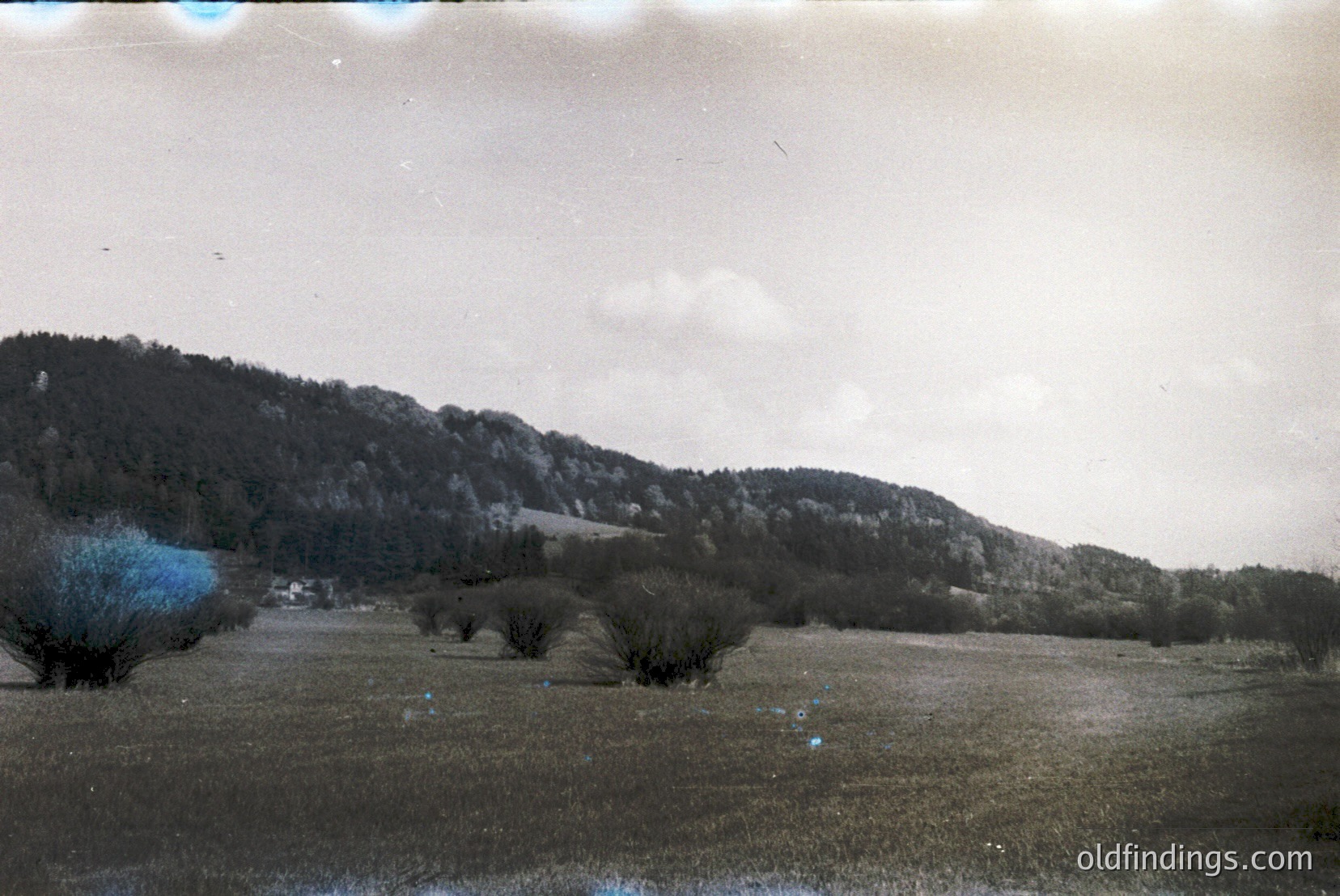 Vintage photograph