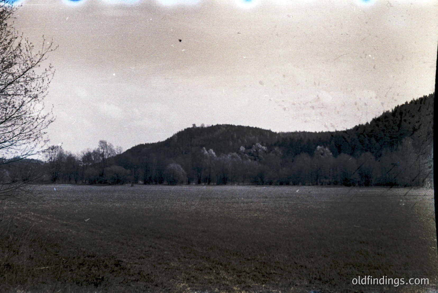 Vintage photograph