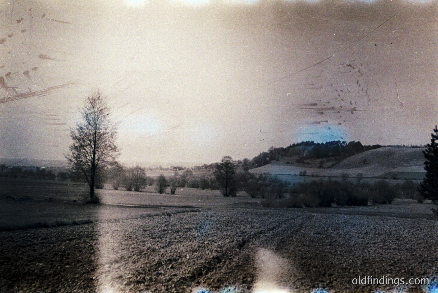 Vintage photograph