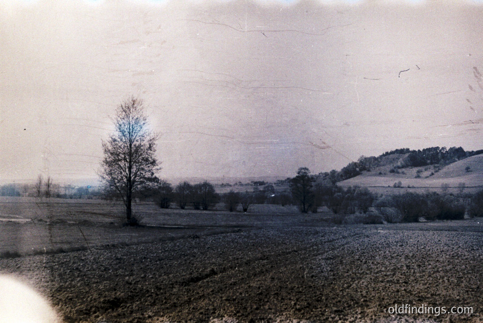 Vintage photograph