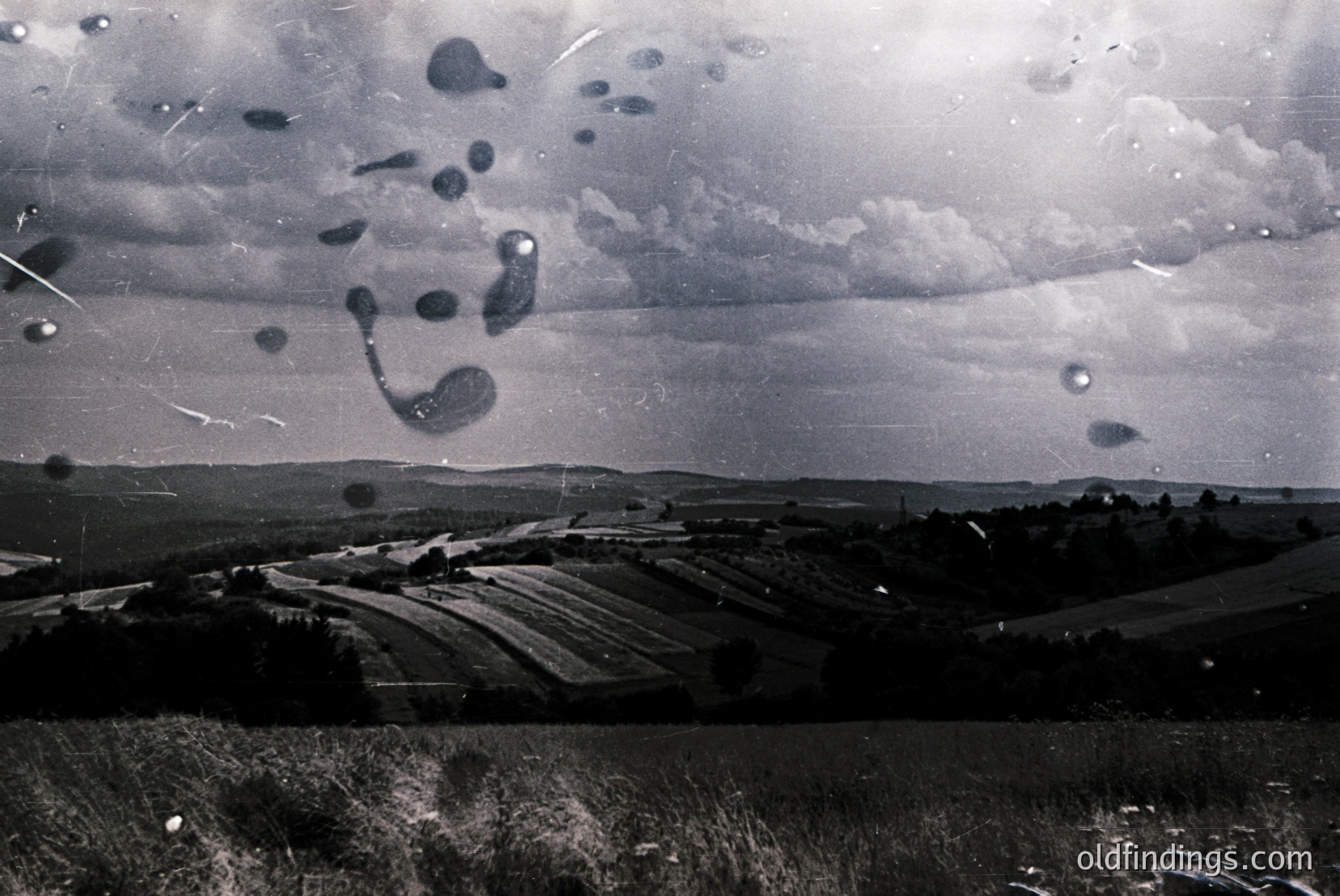 Vintage photograph
