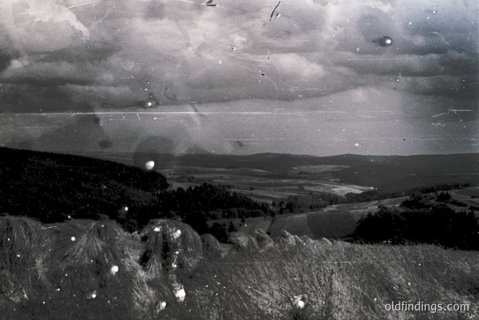 Vintage photograph