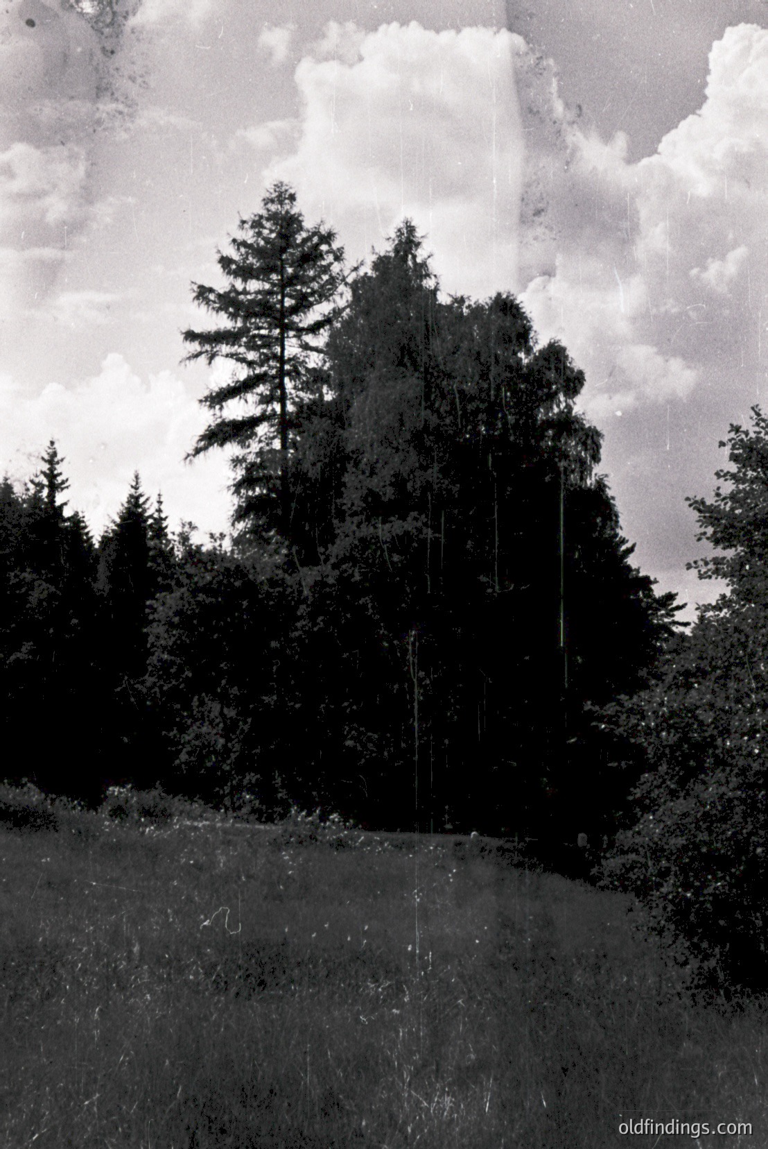 Vintage photograph