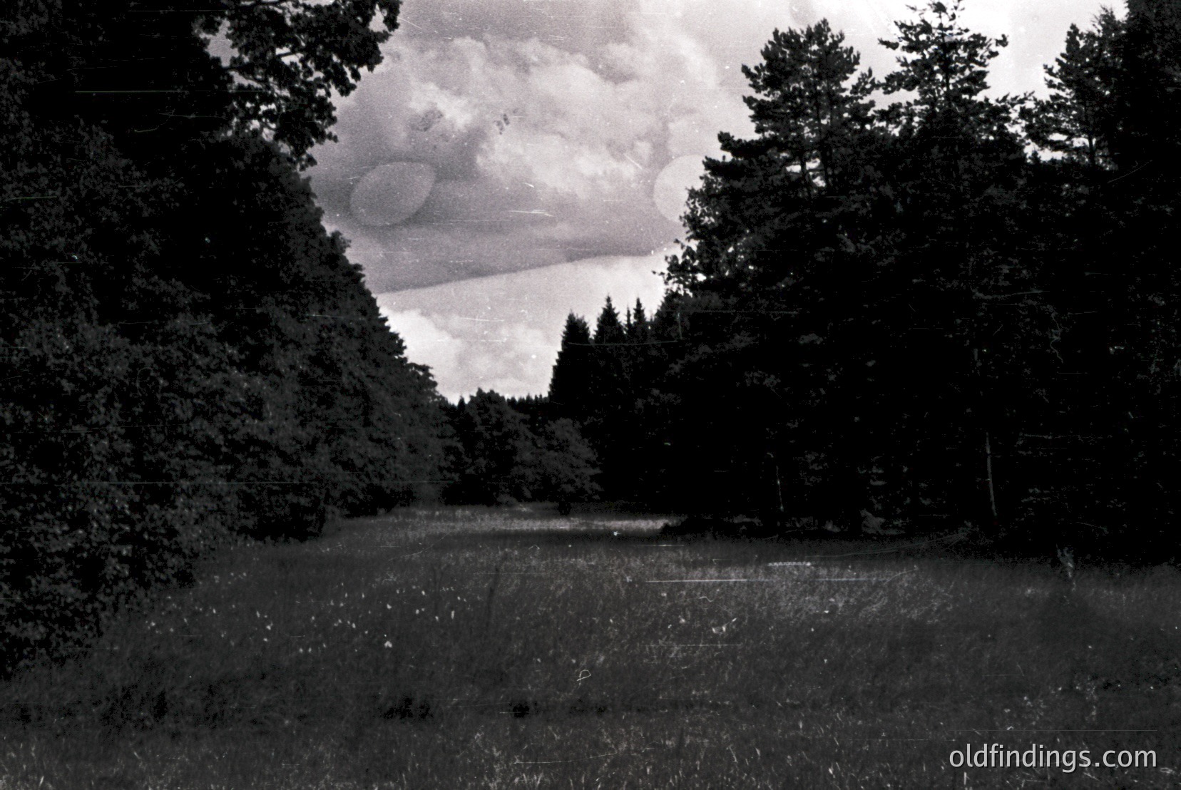 Vintage photograph