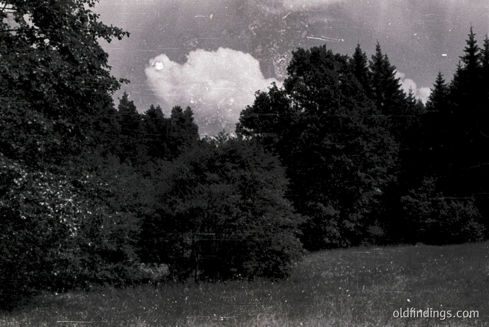 Vintage photograph