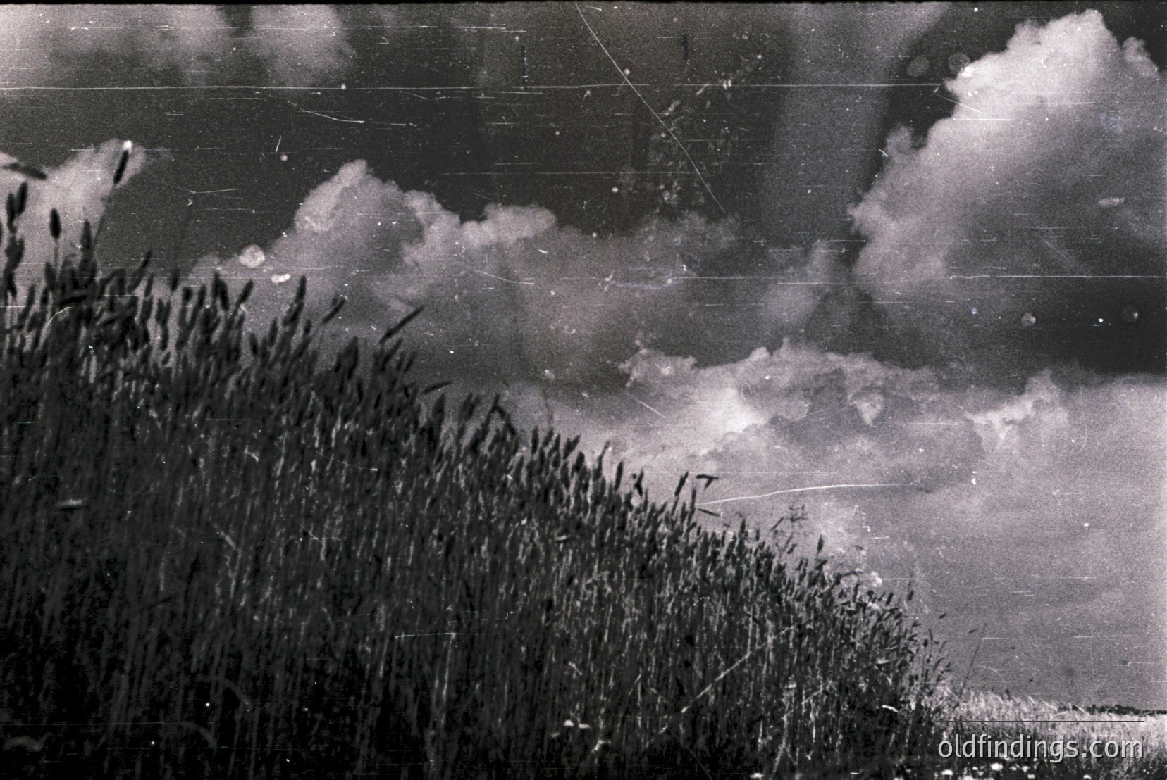 Vintage photograph