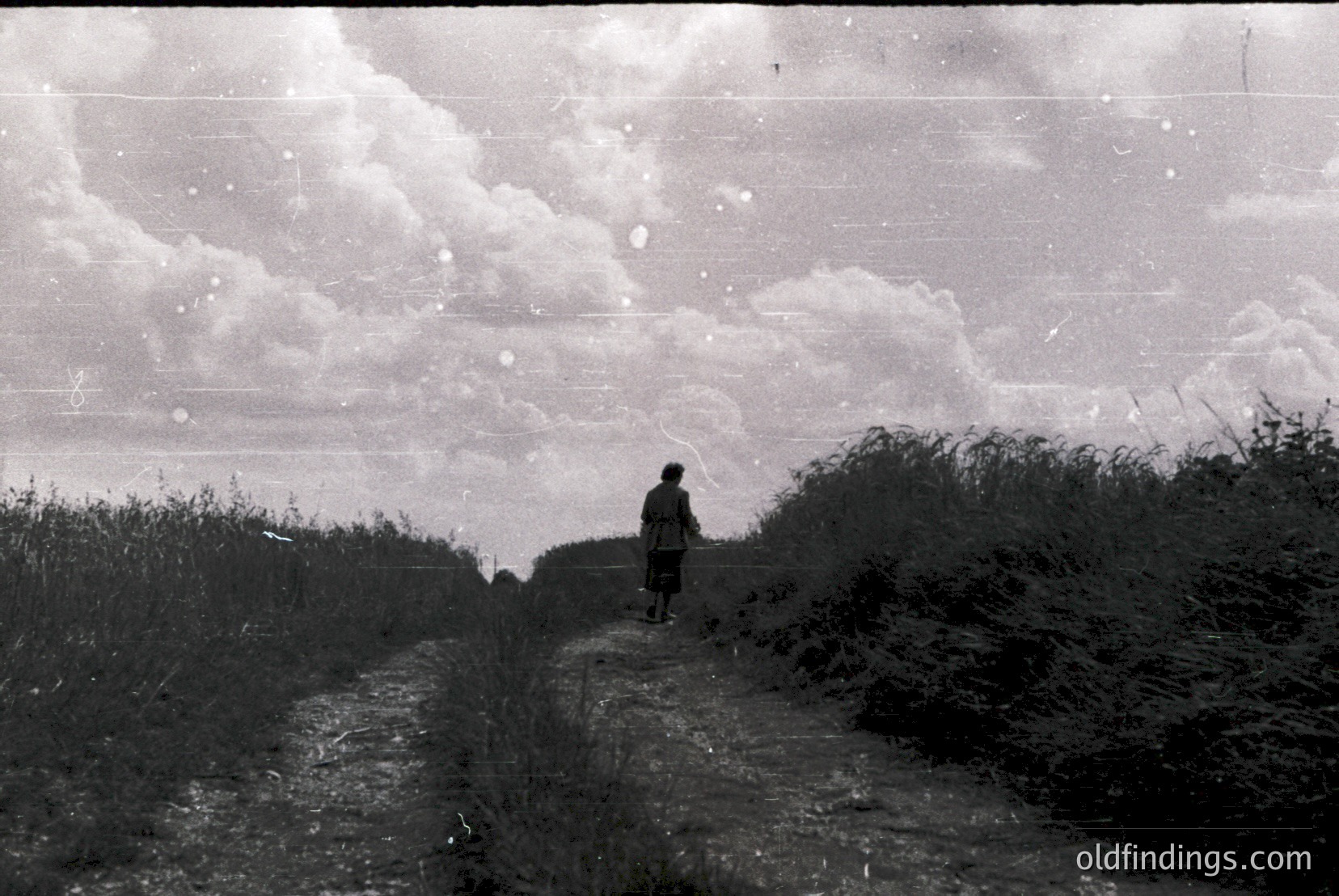 Vintage photograph