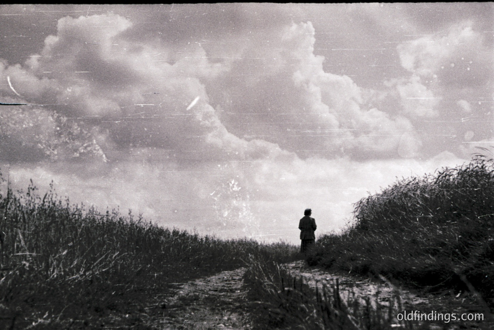 Vintage photograph