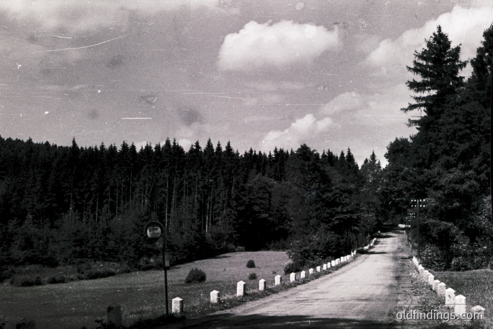 Vintage photograph