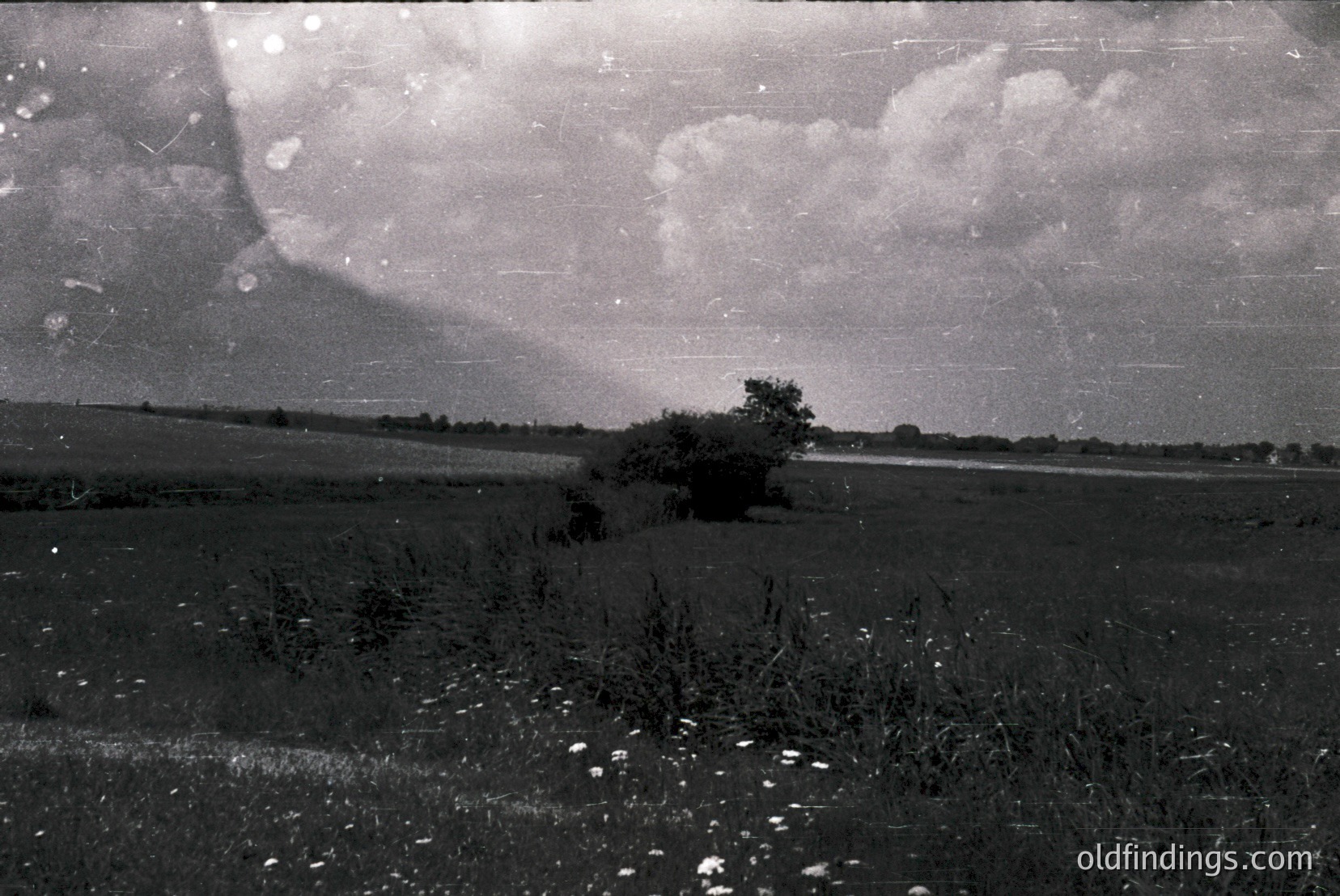 Vintage photograph