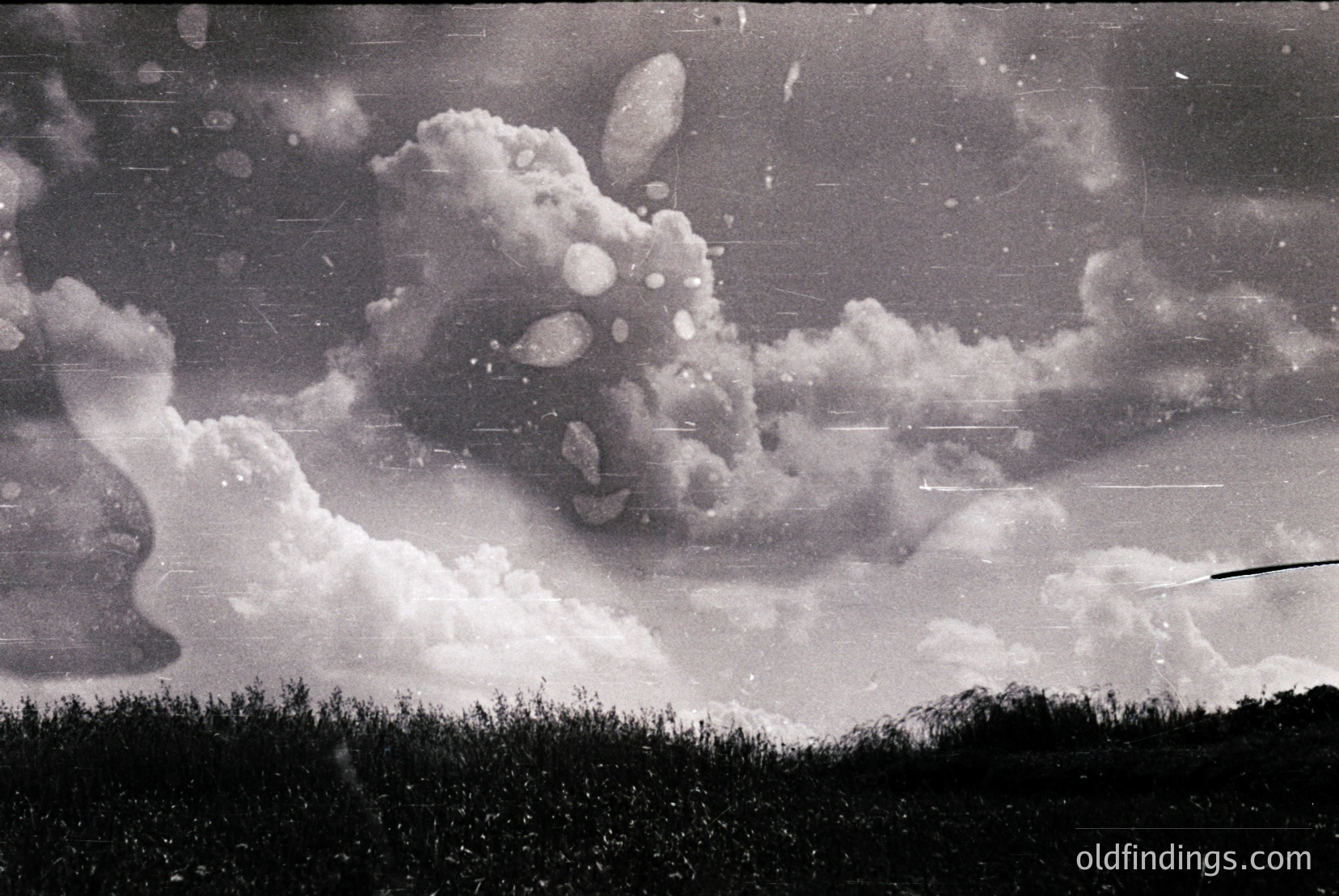Vintage photograph