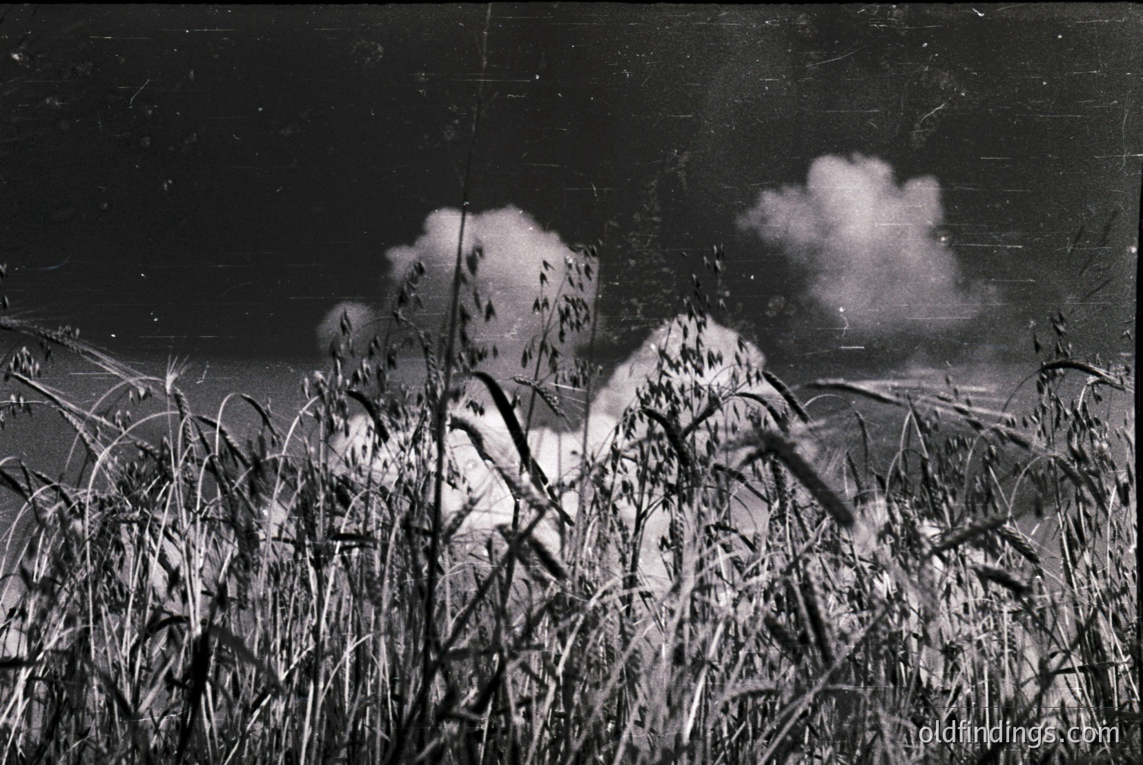 Vintage photograph