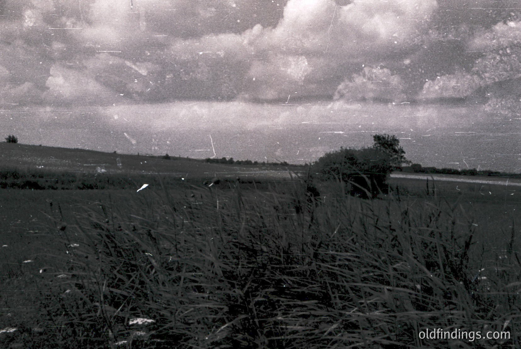 Vintage photograph