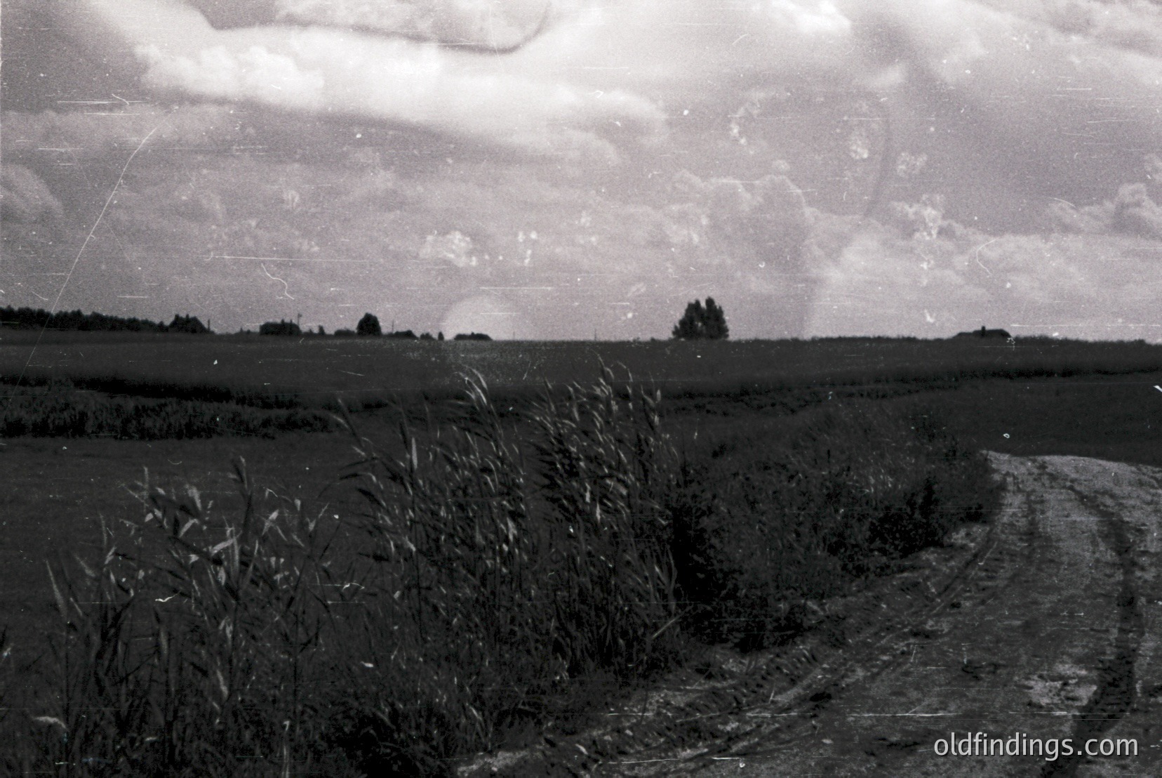 Vintage photograph
