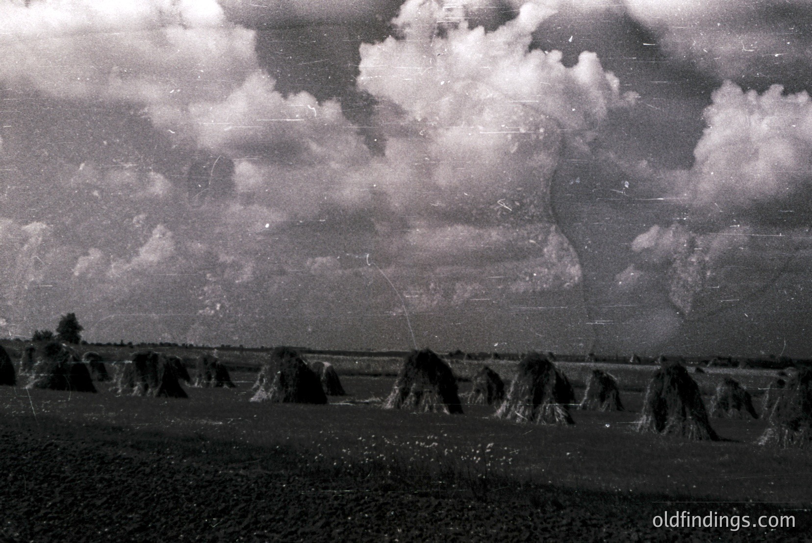 Vintage photograph